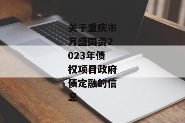 关于重庆市万盛国资2023年债权项目政府债定融的信息