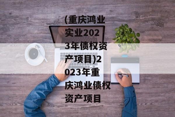 (重庆鸿业实业2023年债权资产项目)2023年重庆鸿业债权资产项目