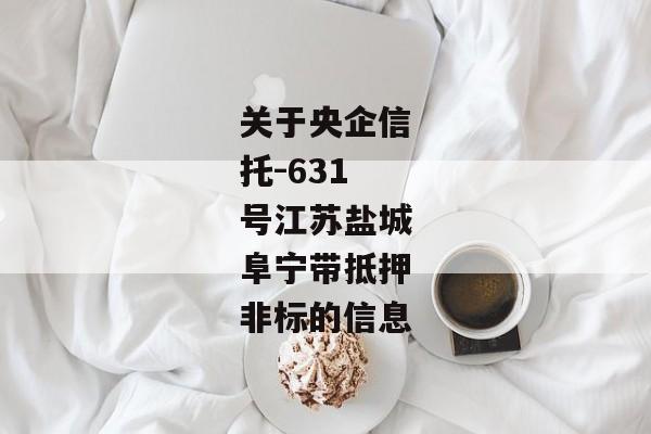 关于央企信托-631号江苏盐城阜宁带抵押非标的信息