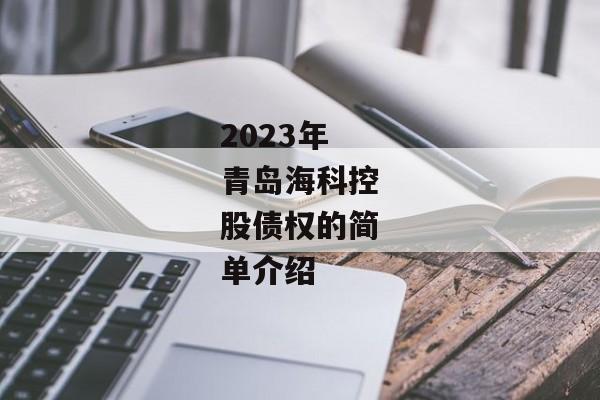 2023年青岛海科控股债权的简单介绍