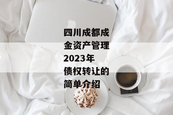 四川成都成金资产管理2023年债权转让的简单介绍-第1张图片-信托定融返点网