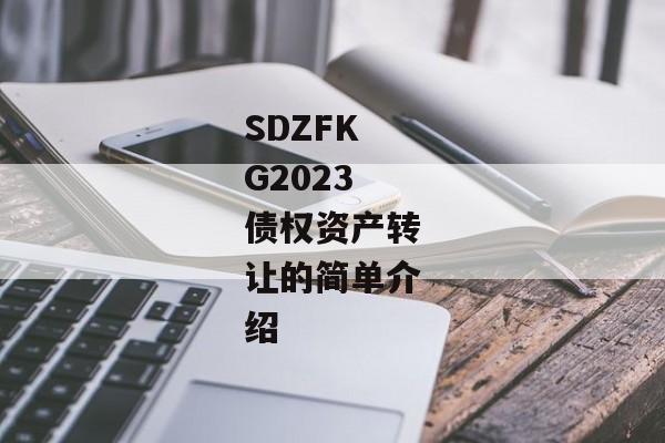 SDZFKG2023债权资产转让的简单介绍-第1张图片-信托定融返点网