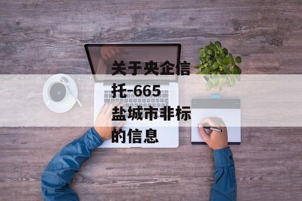 关于央企信托-665盐城市非标的信息-第1张图片-信托定融返点网