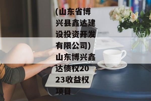 (山东省博兴县鑫达建设投资开发有限公司)山东博兴鑫达债权2023收益权项目