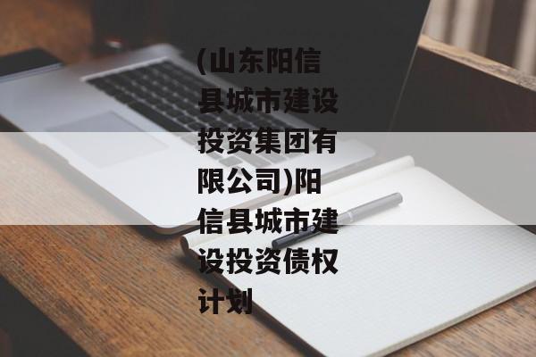 (山东阳信县城市建设投资集团有限公司)阳信县城市建设投资债权计划