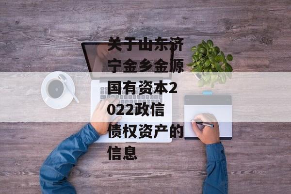 关于山东济宁金乡金源国有资本2022政信债权资产的信息