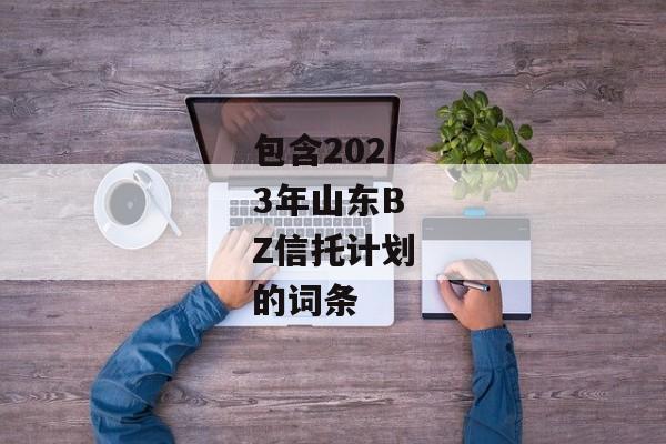 包含2023年山东BZ信托计划的词条