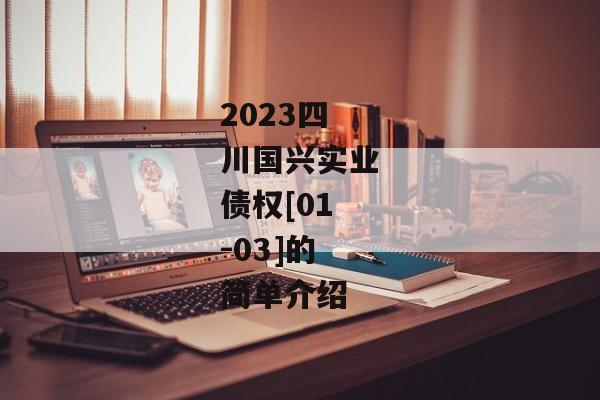 2023四川国兴实业债权[01-03]的简单介绍-第1张图片-信托定融返点网