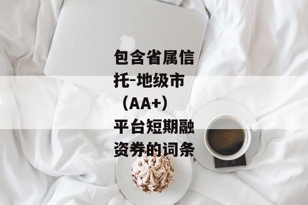 包含省属信托-地级市（AA+）平台短期融资券的词条