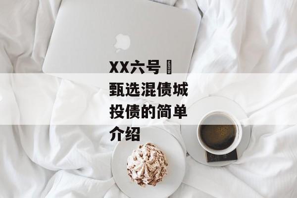 XX六号•甄选混债城投债的简单介绍-第1张图片-信托定融返点网