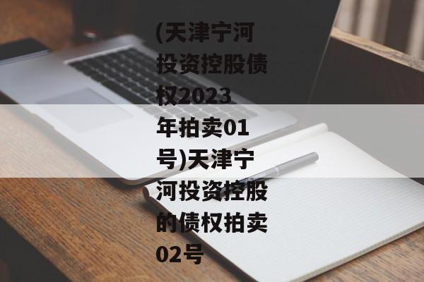 (天津宁河投资控股债权2023年拍卖01号)天津宁河投资控股的债权拍卖02号