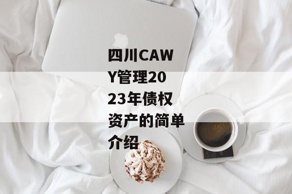 四川CAWY管理2023年债权资产的简单介绍