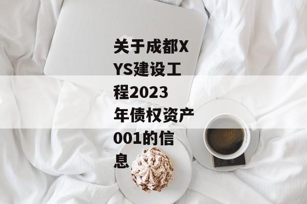 关于成都XYS建设工程2023年债权资产001的信息