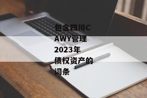 包含四川CAWY管理2023年债权资产的词条