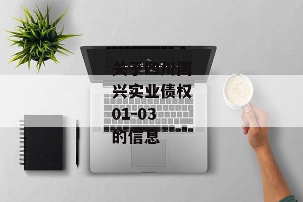 关于四川国兴实业债权01-03的信息-第1张图片-信托定融返点网