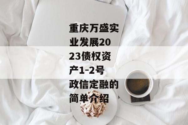 重庆万盛实业发展2023债权资产1-2号政信定融的简单介绍-第1张图片-信托定融返点网