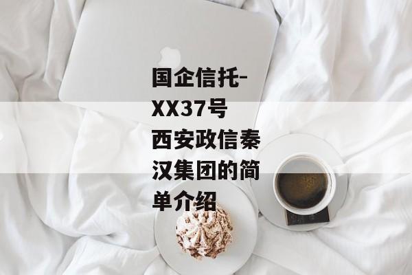 国企信托-XX37号西安政信秦汉集团的简单介绍