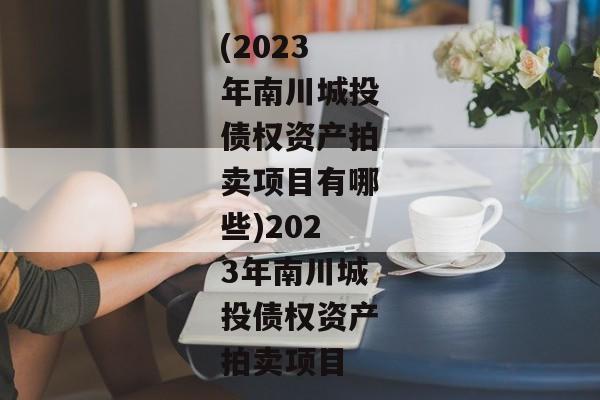 (2023年南川城投债权资产拍卖项目有哪些)2023年南川城投债权资产拍卖项目