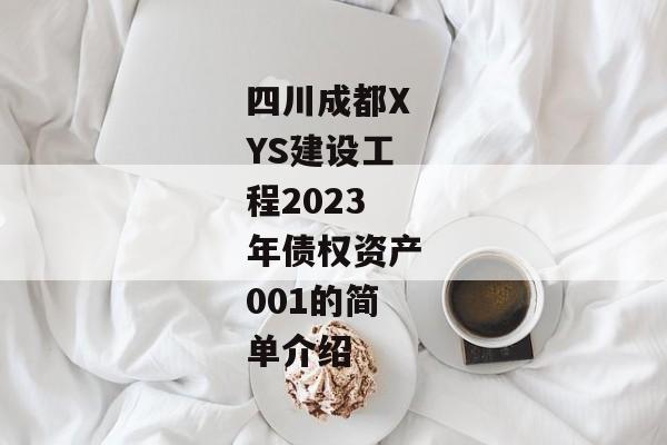 四川成都XYS建设工程2023年债权资产001的简单介绍-第1张图片-信托定融返点网