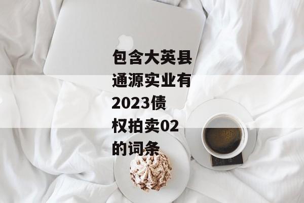 包含大英县通源实业有2023债权拍卖02的词条