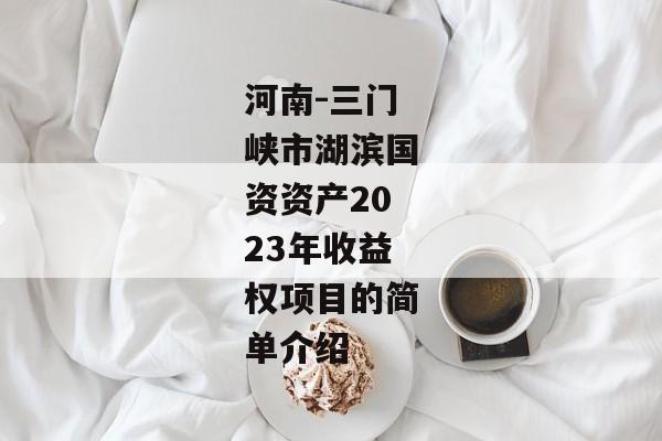 河南-三门峡市湖滨国资资产2023年收益权项目的简单介绍