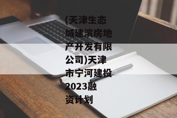 (天津生态城建滨房地产开发有限公司)天津市宁河建投2023融资计划-第1张图片-信托定融返点网