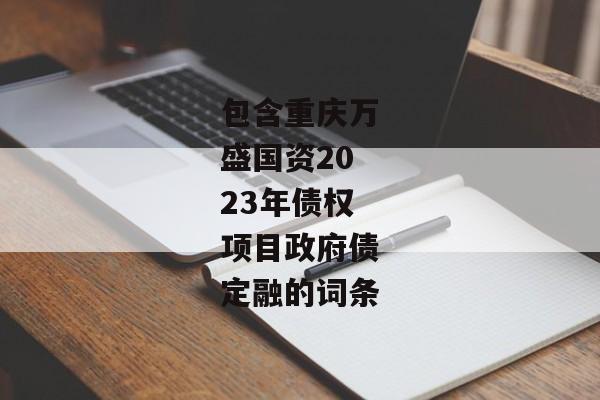 包含重庆万盛国资2023年债权项目政府债定融的词条