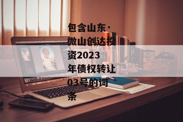 包含山东·微山创达投资2023年债权转让03号的词条