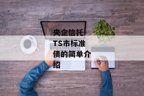 央企信托-TS市标准债的简单介绍