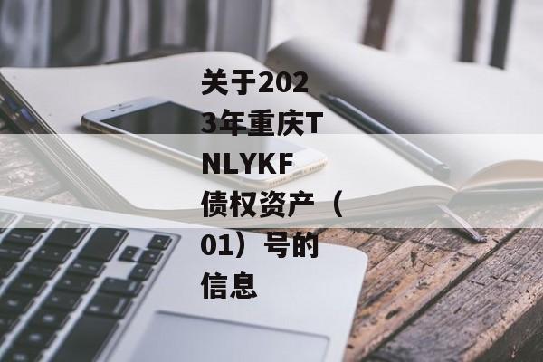 关于2023年重庆TNLYKF债权资产（01）号的信息