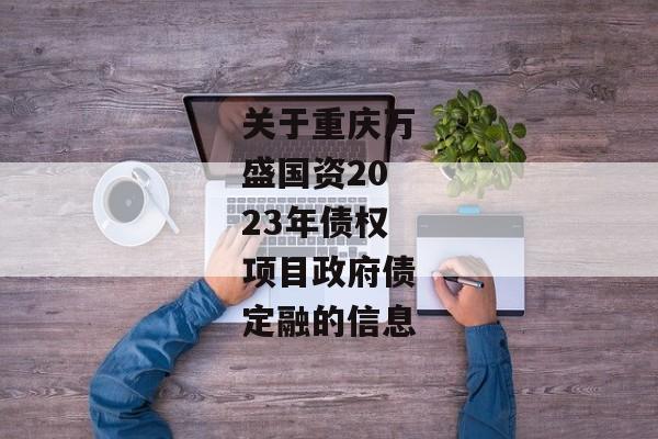 关于重庆万盛国资2023年债权项目政府债定融的信息