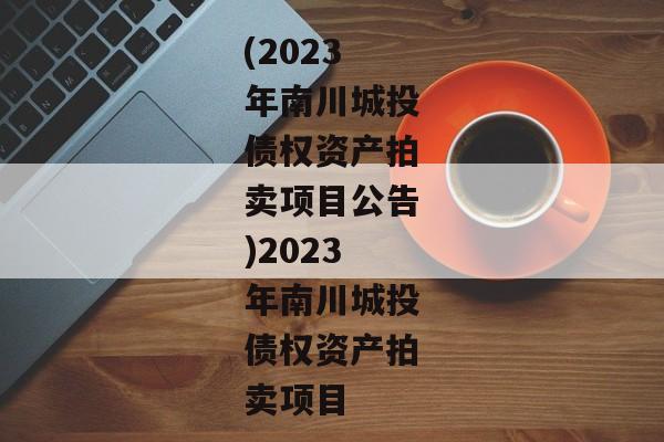 (2023年南川城投债权资产拍卖项目公告)2023年南川城投债权资产拍卖项目