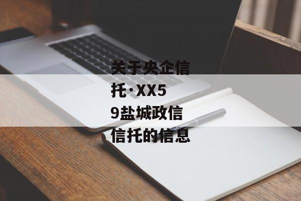 关于央企信托·XX59盐城政信信托的信息