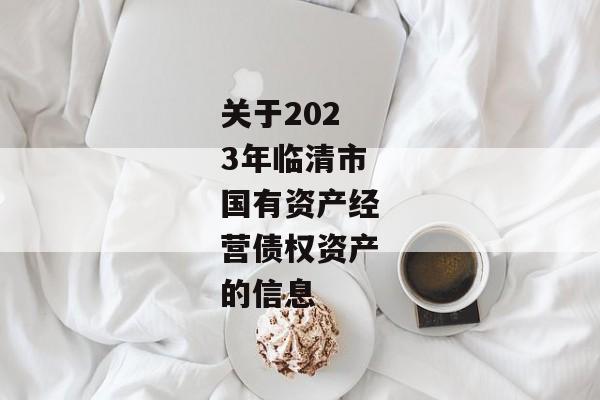 关于2023年临清市国有资产经营债权资产的信息