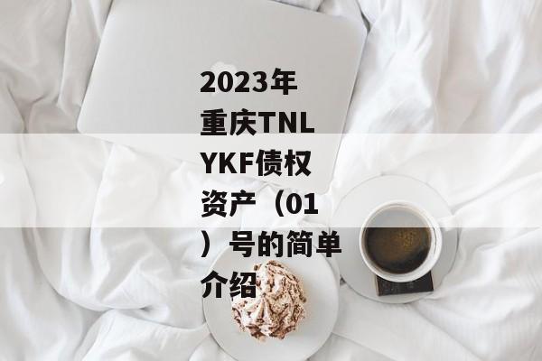 2023年重庆TNLYKF债权资产（01）号的简单介绍-第1张图片-信托定融返点网