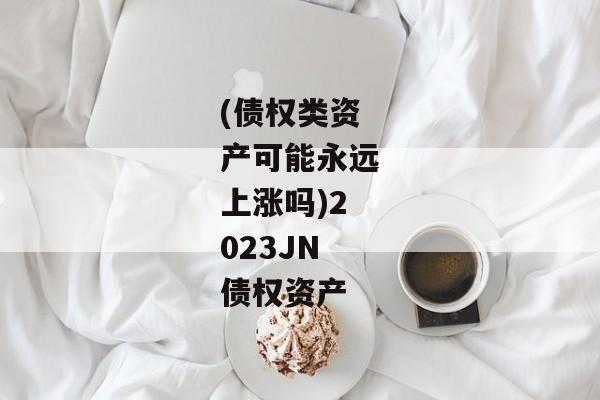 (债权类资产可能永远上涨吗)2023JN债权资产