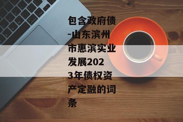 包含政府债-山东滨州市惠滨实业发展2023年债权资产定融的词条