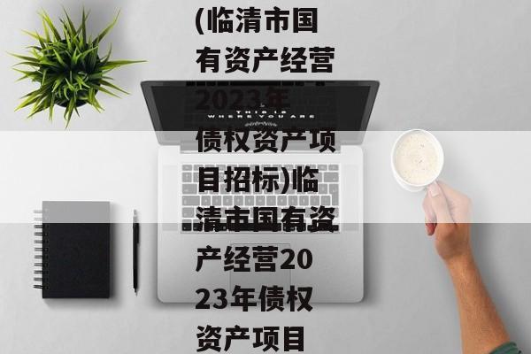 (临清市国有资产经营2023年债权资产项目招标)临清市国有资产经营2023年债权资产项目