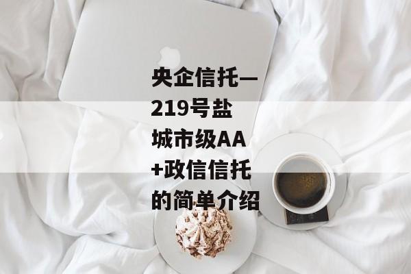 央企信托—219号盐城市级AA+政信信托的简单介绍-第1张图片-信托定融返点网