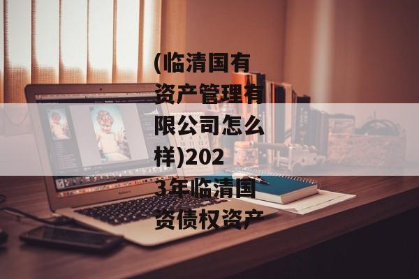 (临清国有资产管理有限公司怎么样)2023年临清国资债权资产