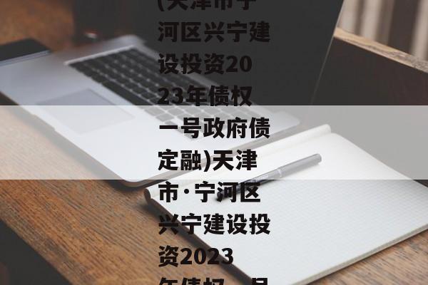 (天津市宁河区兴宁建设投资2023年债权一号政府债定融)天津市·宁河区兴宁建设投资2023年债权一号