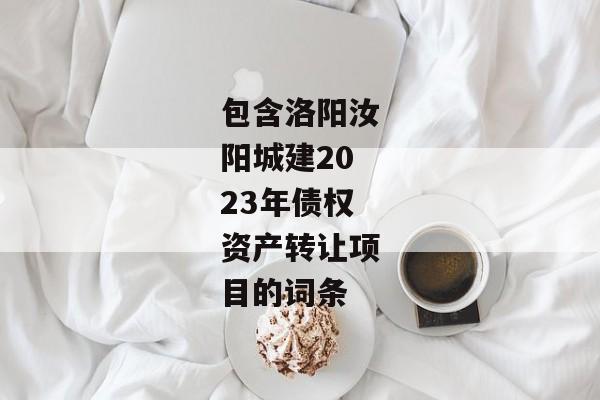 包含洛阳汝阳城建2023年债权资产转让项目的词条