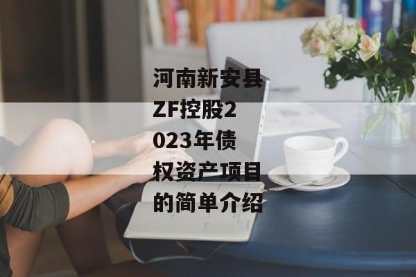 河南新安县ZF控股2023年债权资产项目的简单介绍-第1张图片-信托定融返点网