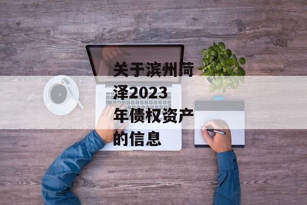 关于滨州菏泽2023年债权资产的信息