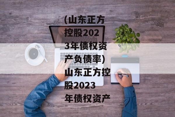 (山东正方控股2023年债权资产负债率)山东正方控股2023年债权资产