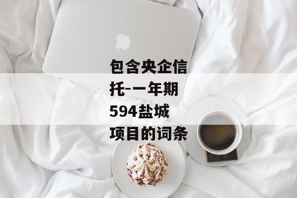 包含央企信托-一年期594盐城项目的词条-第1张图片-信托定融返点网