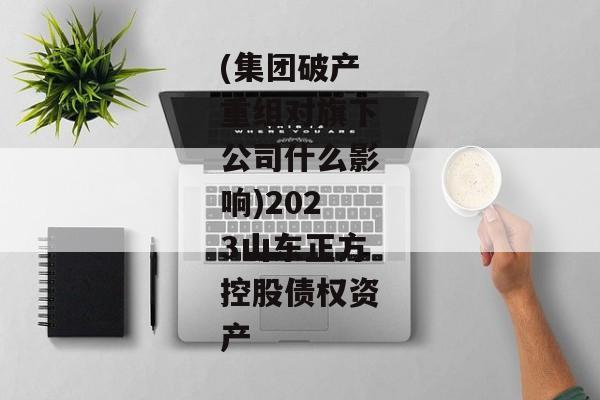 (集团破产重组对旗下公司什么影响)2023山东正方控股债权资产-第1张图片-信托定融返点网