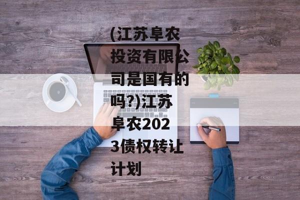 (江苏阜农投资有限公司是国有的吗?)江苏阜农2023债权转让计划