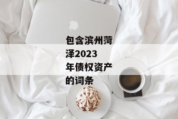 包含滨州菏泽2023年债权资产的词条