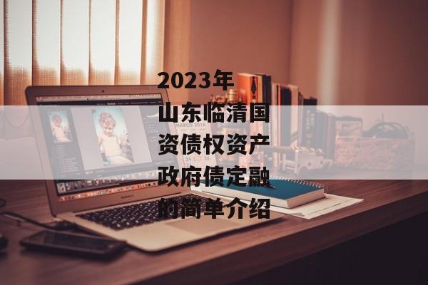 2023年山东临清国资债权资产政府债定融的简单介绍-第1张图片-信托定融返点网